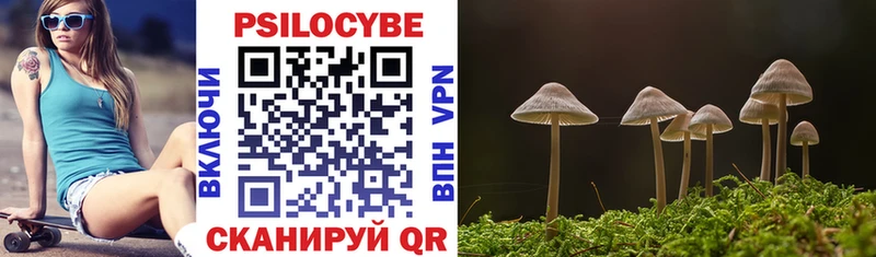 Псилоцибиновые грибы Psilocybe  Михайловск 