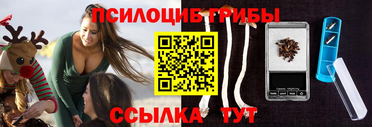 Псилоцибиновые грибы Cubensis  Вход с VPN  Михайловск 