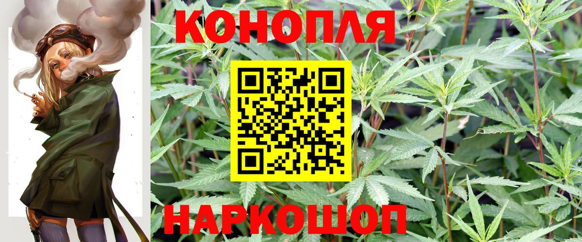 Марихуана сатива Михайловск